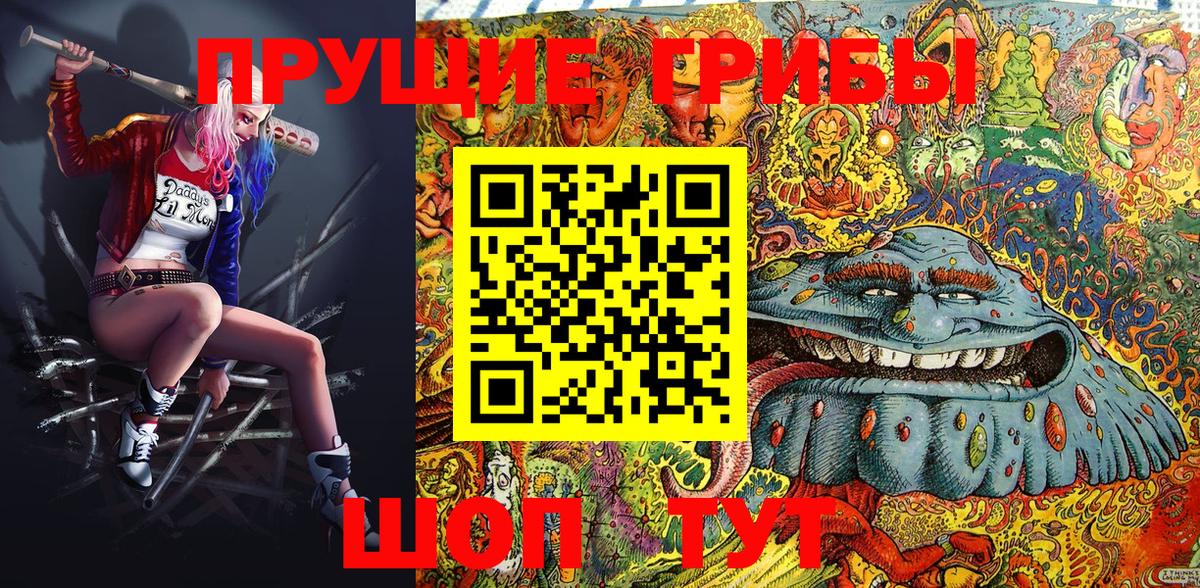 Псилоцибиновые грибы MAGIC MUSHROOMS  Вход с VPN  Тверь 